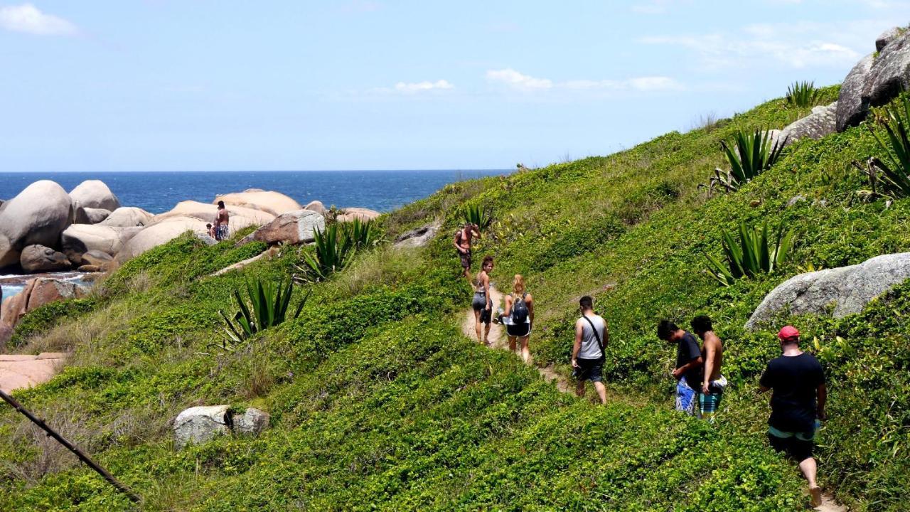 Florianópolis The Search House旅舍 外观 照片